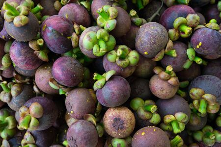Mangosteen, much more in the harvest of Thailand.の写真素材