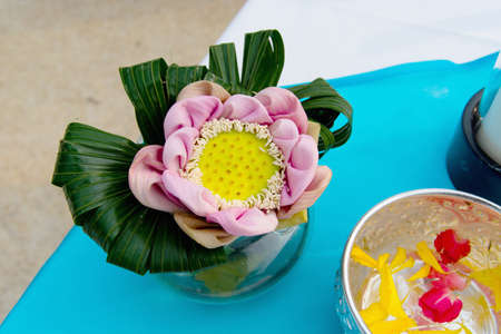 Lotus Vaseの写真素材