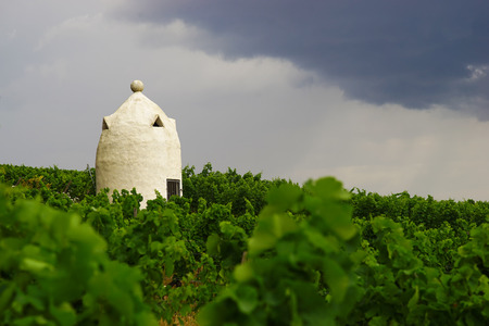 Trulli in Rheinhessen RLPの写真素材
