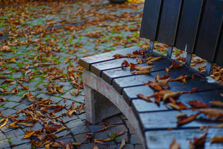 Autumn with dry autumn leaves around a park bench as Wallpaper