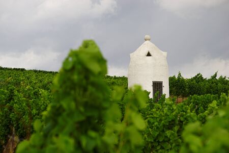 Rhein Hessian Trullo (Vineyard shelter   to working in the vineyard winemaker) at aufziehendem storms.の写真素材