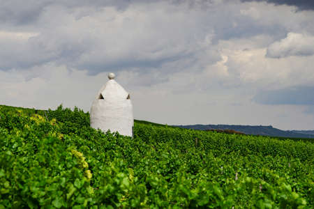 Rhein Hessian Trullo (Vineyard shelter  to working in the vineyard winemaker) at aufziehendem storms.の写真素材