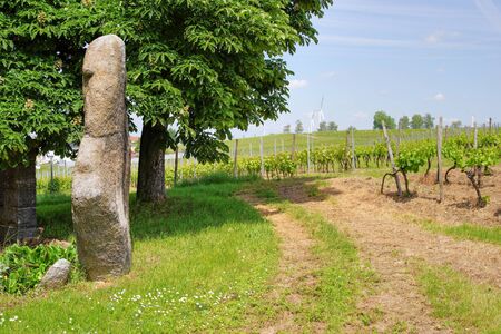 Monolith menhir near Eckelsheim Rhine-Hesse Germanyの写真素材