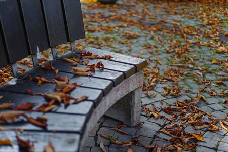 Autumn with dry autumn leaves around a park bench as Wallpaperの写真素材