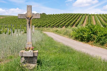 Wayside cross in the vineyard, Rheinhessen, Germanyの写真素材