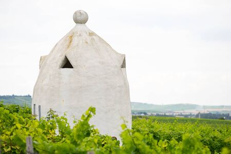 Vineyard shelter in the style of an Italian Trullo in Rheinhessen, Germany, Rhine-Hesse.の写真素材