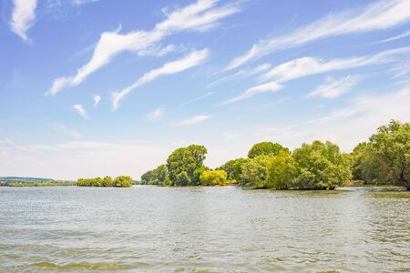 Rhine river and trees at Bingenの写真素材