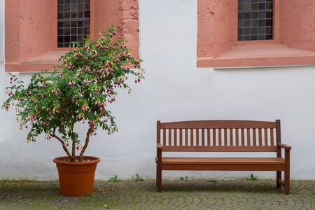 Quiet corner at Eberbach Monastery Rheingau, Kloster Eberbach, Hessenの写真素材