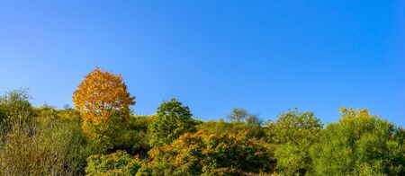 Background. Colourful autumn atmosphere with blue skyの写真素材