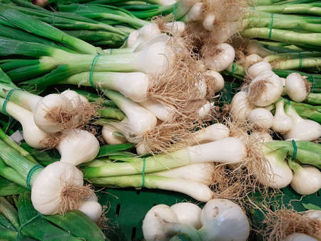 Bunch of spring onion の写真素材