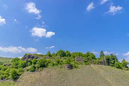 Ruin of Schloss Boeckelheim Castle. Rhineland-Palatinate, Germany. Accepted birthplace of Saint Hildegard of Bingen.の写真素材