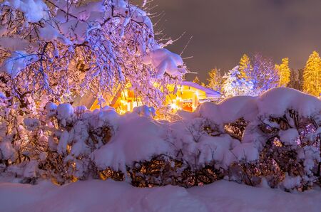 yard in winter with snow lighted by christmas lights with hedge in frontの写真素材