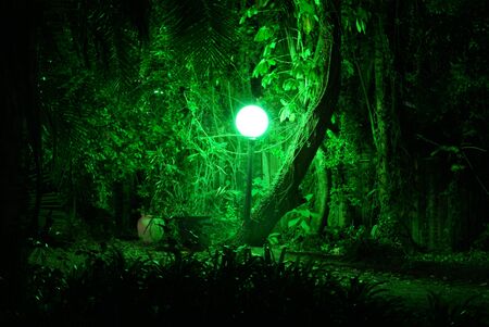 Green lightの写真素材