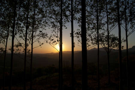 Sunset の写真素材