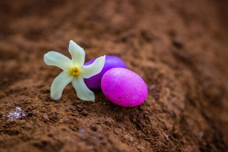 Easter eggs with small flower