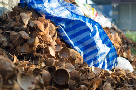Coconut garbageの写真素材