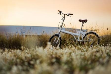 Folding bicycle standの写真素材