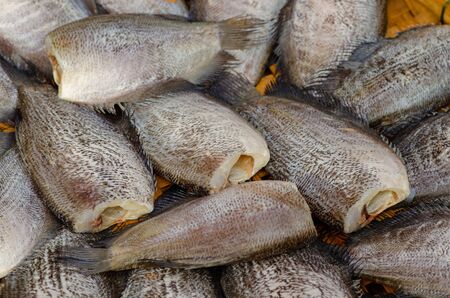 Dried Trichogaster pectoralis fish with soft focusの写真素材