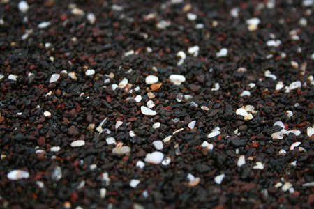 A nice beach with black sand on the Galapagos Islandsの写真素材