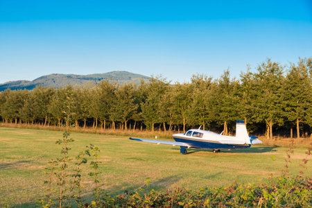 The plane ready to take off on the runway of grass