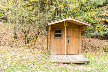 Wooden small house nestled in the forest