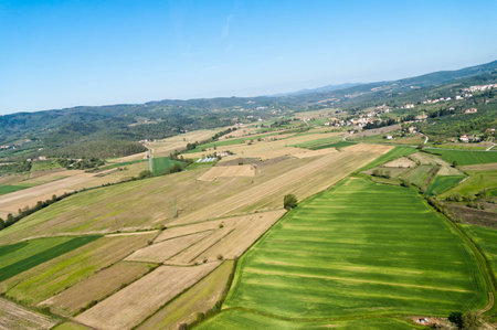 The green expanse of the Valdichiana in Tuscany - Italy