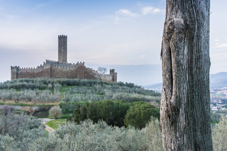 The Montecchio Castle is open to the public and was built in the ninth century and is located in Castiglione Fiorentino in the province of Arezzo in Tuscany, in 1986 was issued a stamp of the castleの写真素材
