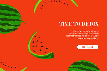 Ripe red watermelon background. Juicy vitamin halves with black seeds organic sweet tropical body cleansing product and vector cocktails.のイラスト素材