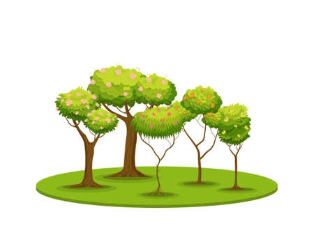 Glade with flowering trees. Green spring fruit deciduous plants with red bright flowers and pink shoots young grass growing in dense vector carpet.のイラスト素材