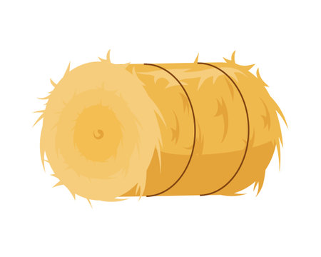 Round haystack. Golden bandaged roll of grass compact hayloft after harvesting grain preparation for feeding vector cattle.のイラスト素材