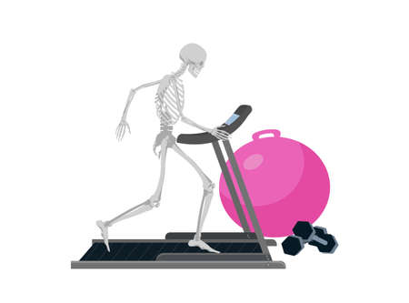 Human skeleton runs on treadmill. Ancient dead man with dried bones is enthusiastically trained on cardiovascular machine fitness ball and vector dumbbells lie nearby.のイラスト素材