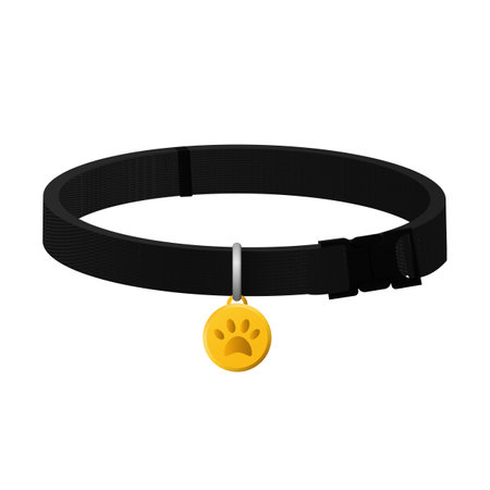 Black dog collar. Stylish domestic pet harness with gold medal paw for safety and vector protectionのイラスト素材