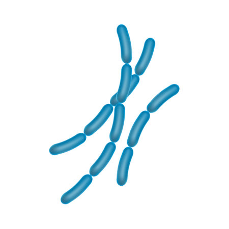 Viruses, germs and bacteria, microorganism types. Illness or disease mi croscopic cells and infection, microbes and antibodies.の写真素材