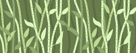 Bamboo grove background. Green tree trunks with leaves and chinese design with japanese pattern of natural zen and natural spa vectorのイラスト素材