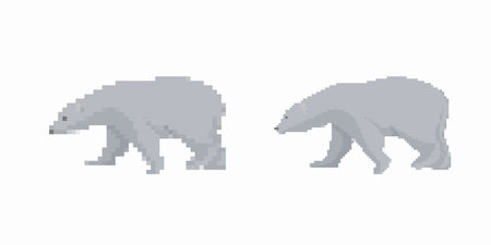 Two polar bears are depicted in pixel art style. both bears are shown walking with detailed features.のイラスト素材