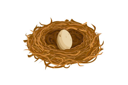 An egg resting in a birds nest signifies new beginnings in nature with a calming sense of peace.のイラスト素材