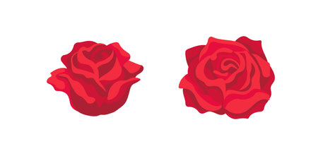 Beautiful roses showcasing rich red petals, perfect for expressing love, passion, and romance.のイラスト素材