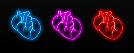 Glowing neon anatomical hearts in blue, pink, and red, depicting vibrant health and vitality.のイラスト素材