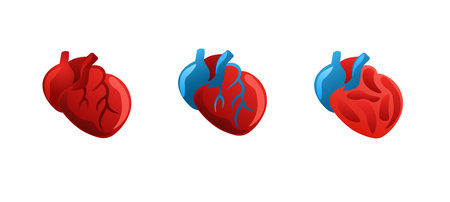 Three anatomically styled hearts with vivid red and blue colors, highlighting medical symbolism.のイラスト素材