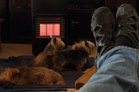 Man with feet up with pet dogs in front of gas heaterの写真素材