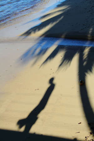 Shadow of a man walking in the shadow of a palm tree on a beachの写真素材