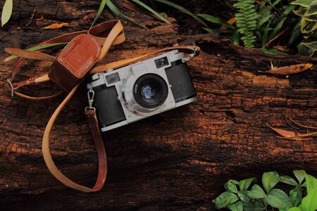 Retro 35 mm camera on a rough logの写真素材