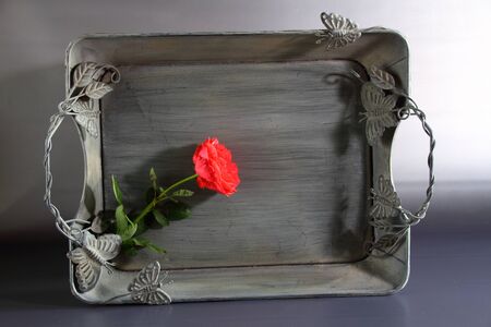 Tea tray with red flowerの写真素材