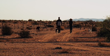 Farm workers walk on a dusty road with their dogsの写真素材