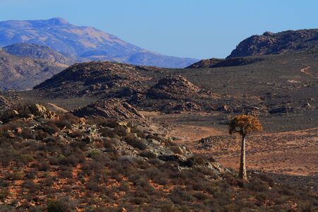 Landscape Northern Cape province South Africaの写真素材