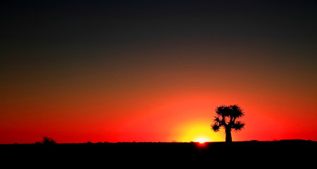 Landscape Northern Cape Province South Africaの写真素材