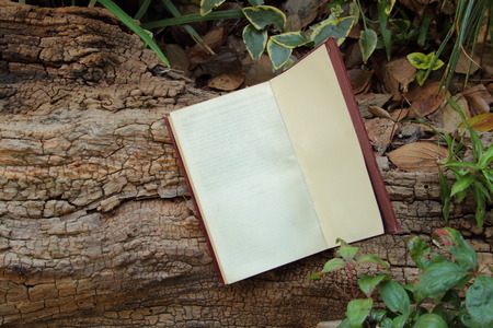 Still life - books outdoorsの写真素材