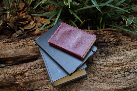 Still life - books outdoors