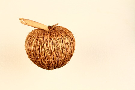 A fragrant oils dispenser made from natural material in the shape of a fruit on a white background in landscape format with copy spaceの写真素材