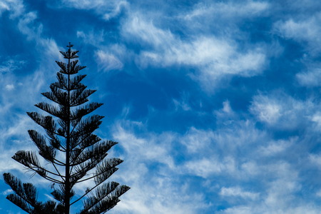 Background use image with silky white clouds against a blue sky image with copy space